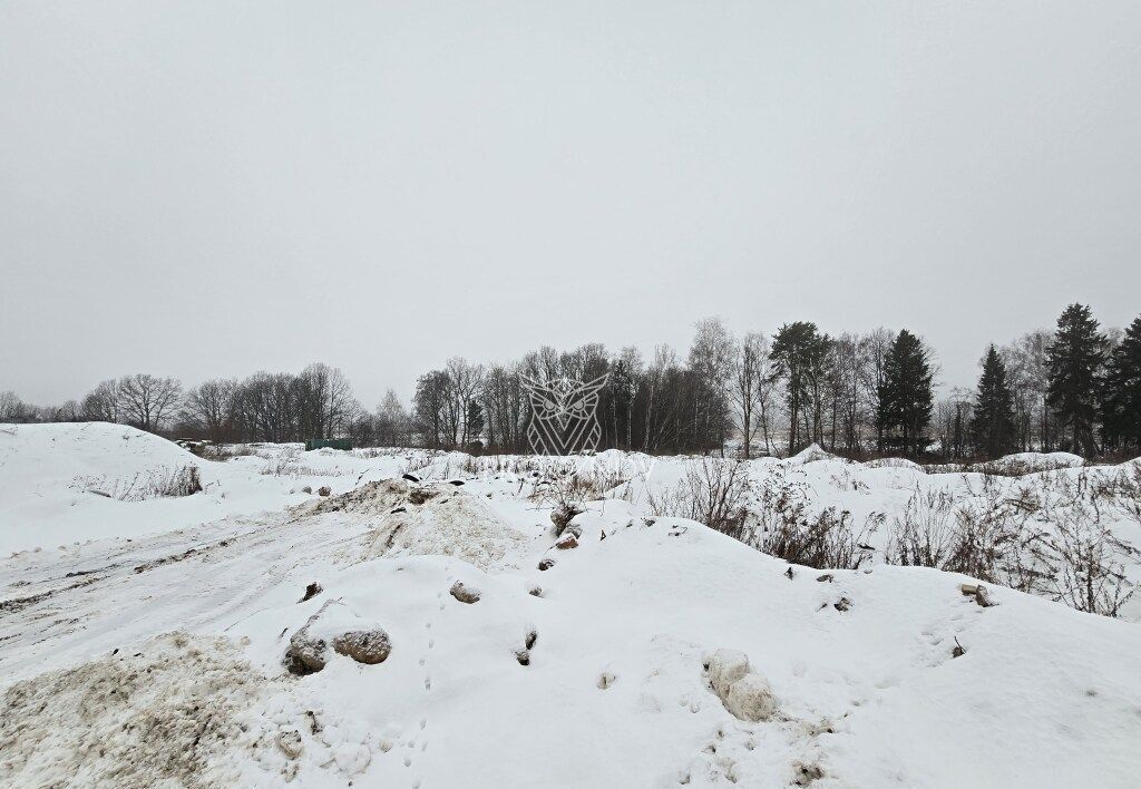 земля городской округ Пушкинский г Красноармейск 30 км, сельское поселение Царёвское, Ярославское шоссе фото 13