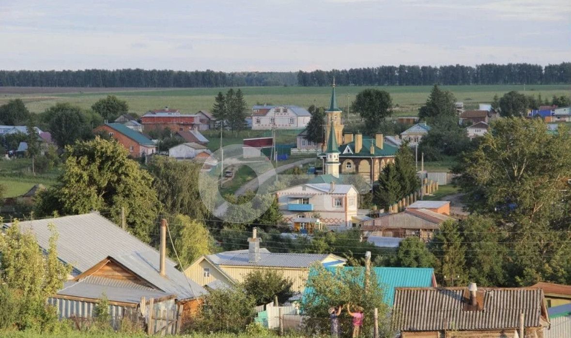 земля р-н Верхнеуслонский д Каинки ул Центральная Бурнашевское сельское поселение, Нижние Вязовые фото 7