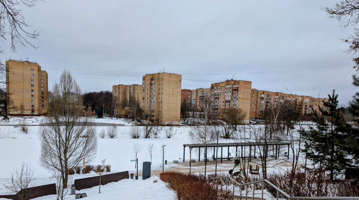 квартира г Москва п Воскресенское п подсобного хозяйства Воскресенское Потапово фото 25