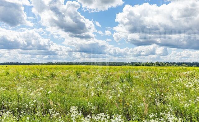 земля ул Народная 35 16 км, Красногорск, Рублёво-Успенское шоссе фото