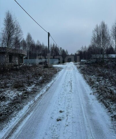 городской округ Тула, деревня Новосёлки фото