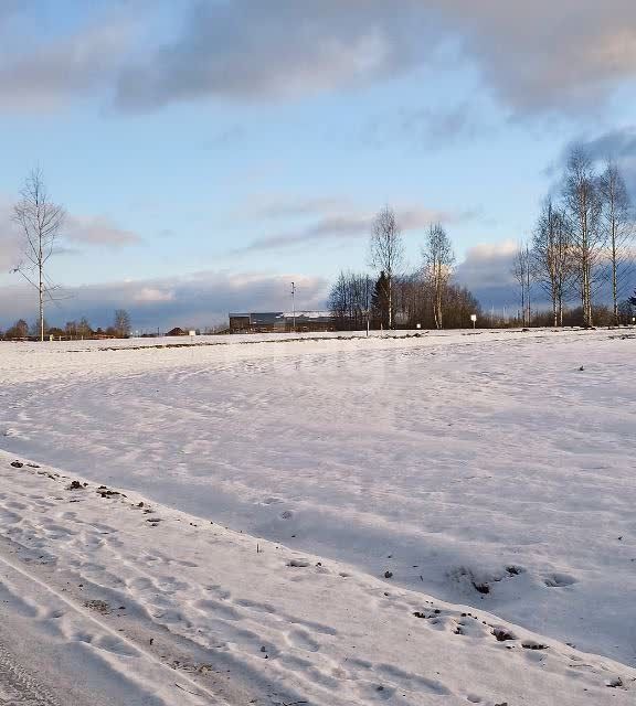 земля Добрянский городской округ, д. Залесная фото 8