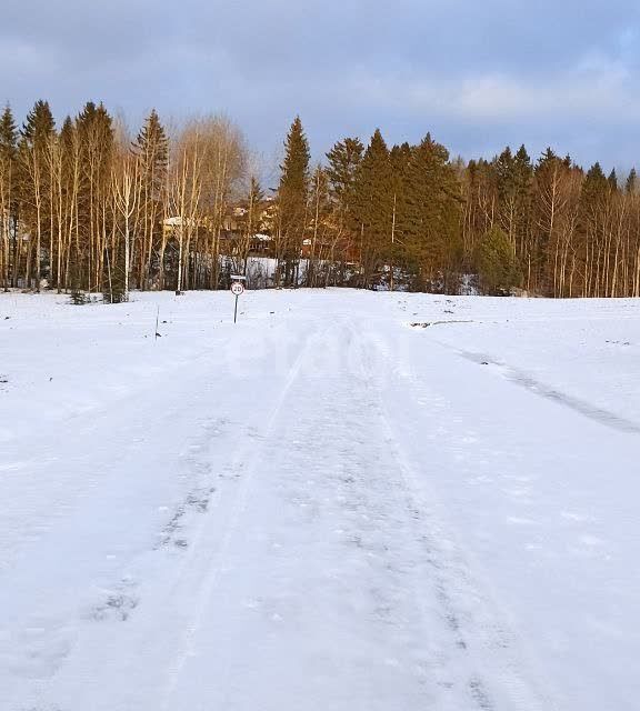 земля Добрянский городской округ, д. Залесная фото 5