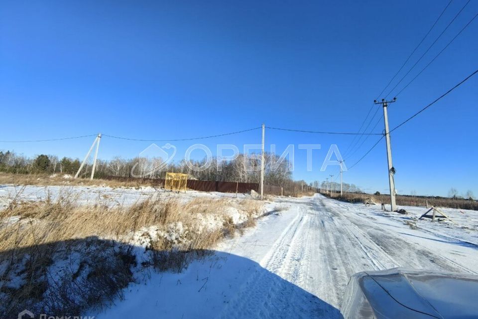 земля р-н Тюменский село Каменка фото 6