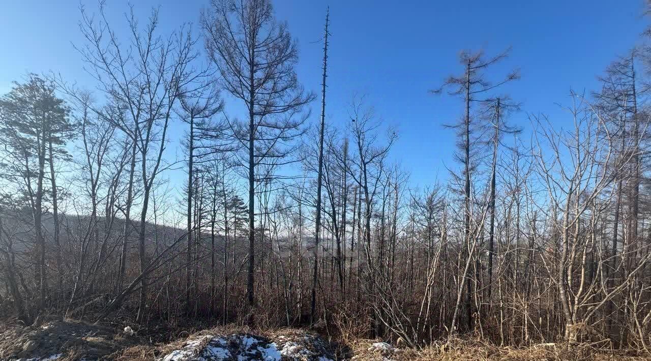 земля г Владивосток п Трудовое ул Курильская Советский район фото 7