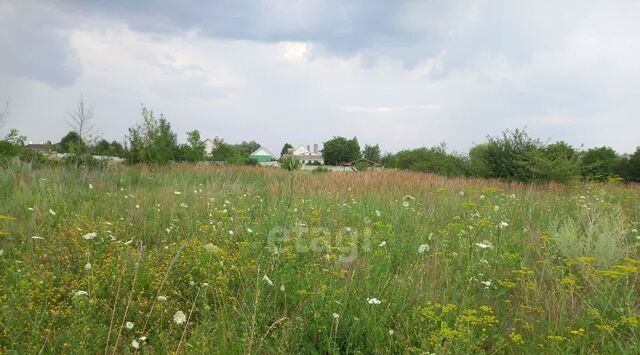 ул Центральная фото