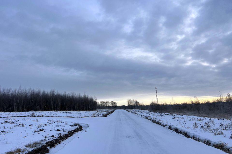 земля городской округ Раменский с Софьино 200 фото 1