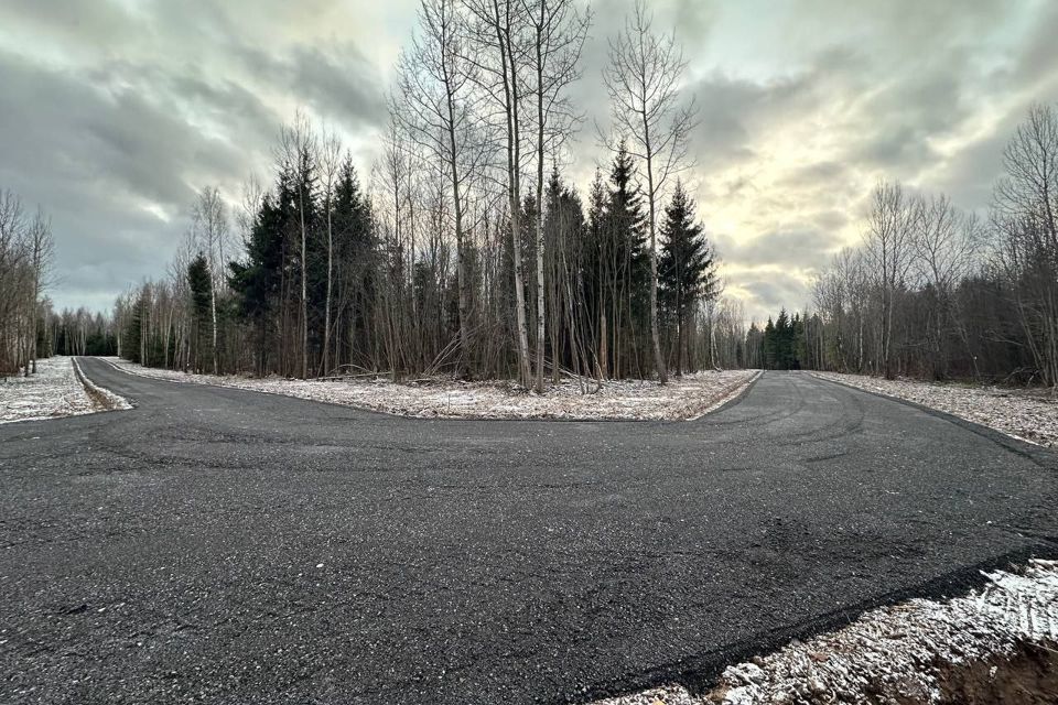 земля городской округ Дмитровский Медведки фото 1