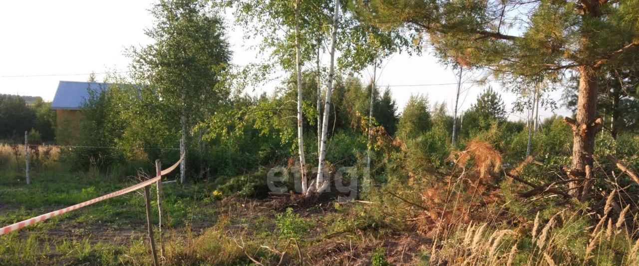 земля р-н Верхнеуслонский снт Родник Набережно-Морквашское с/пос фото 6