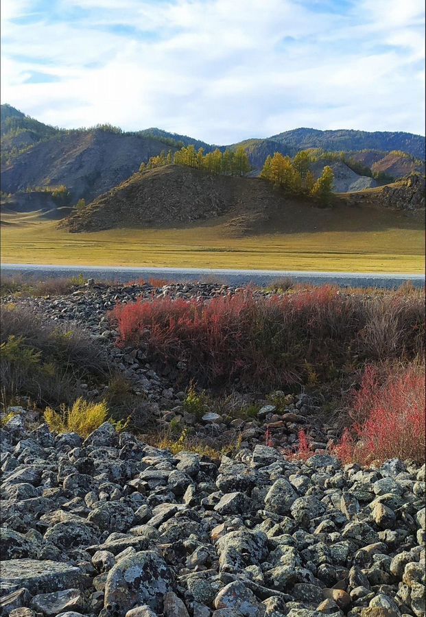 земля р-н Онгудайский с Онгудай 84К-21 фото 3