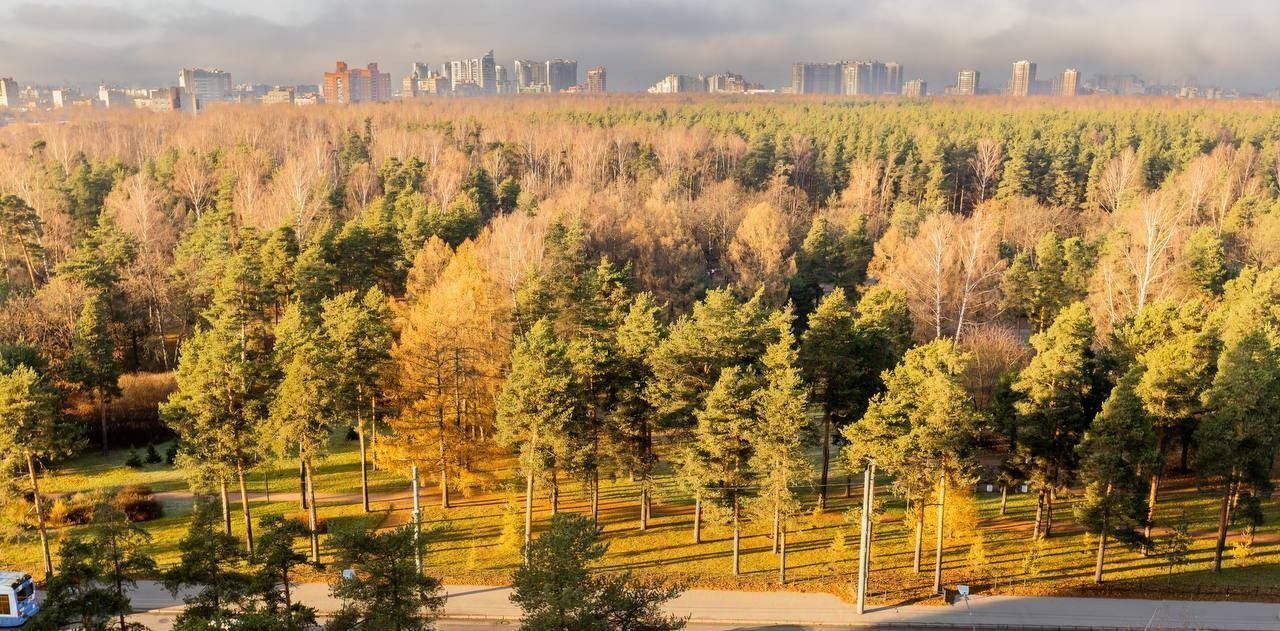 квартира г Санкт-Петербург метро Политехническая пр-кт Светлановский 45 округ Светлановское фото 1