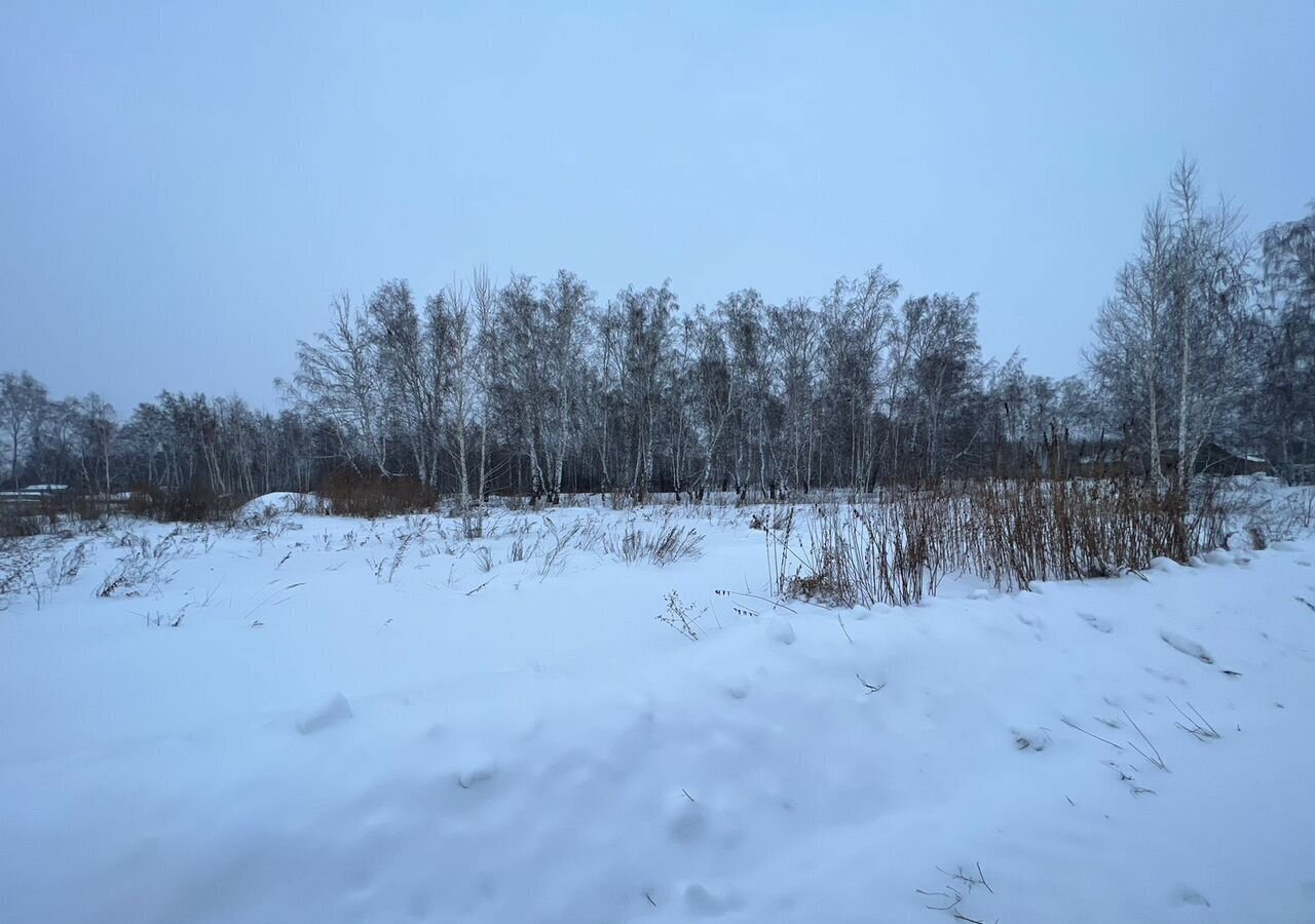 земля г Омск Новосибирский тракт, коттеджный пос. Зелёная Долина фото 1