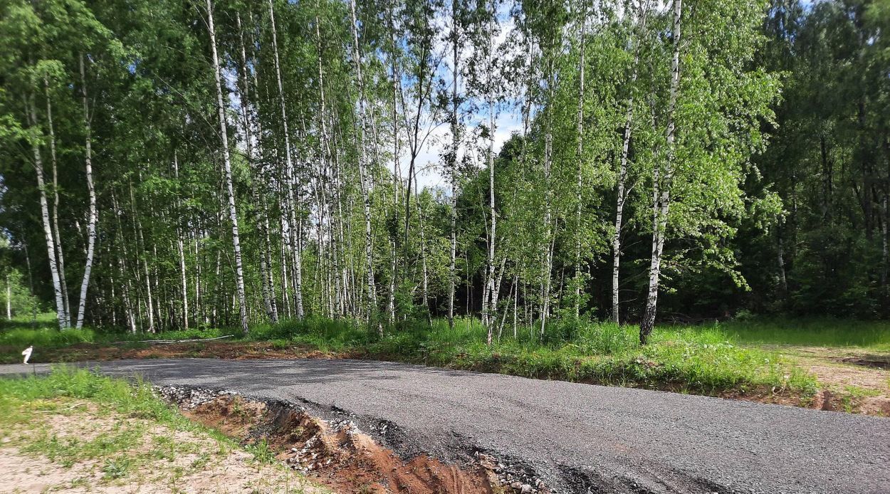 земля городской округ Чехов с Троицкое снт тер.Пикник Домодедовская фото 7