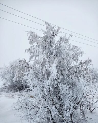 г Орск тер СК Гороно фото