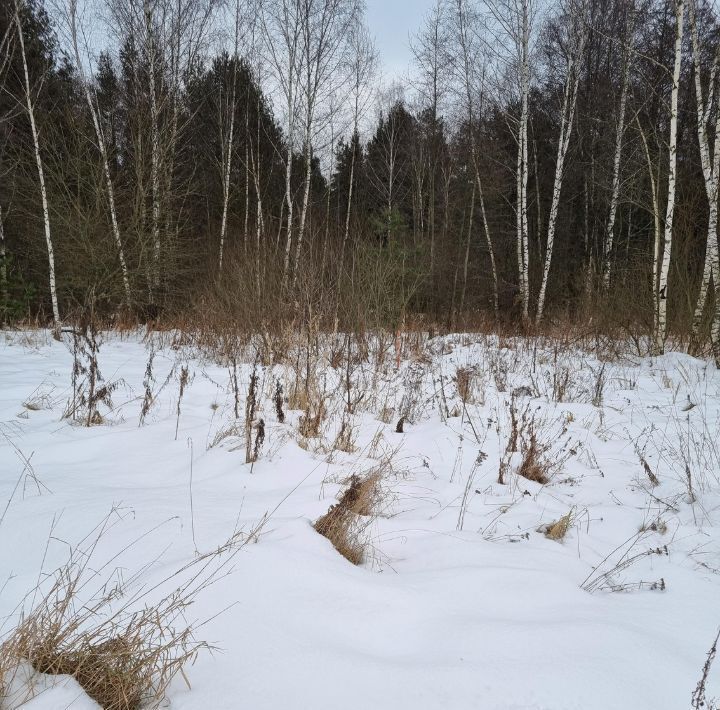 земля городской округ Раменский д Шмеленки ул Лесная Кратово фото 2