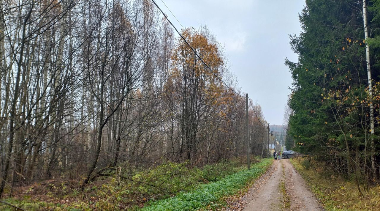 земля городской округ Солнечногорск д Рыгино снт Берёзовая роща фото 14