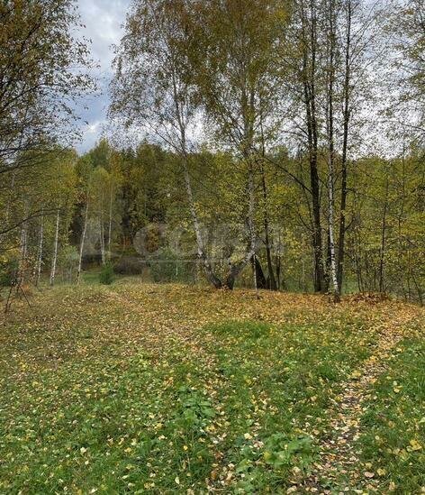 земля р-н Тобольский с Абалак Абалакское сельское поселение фото 6