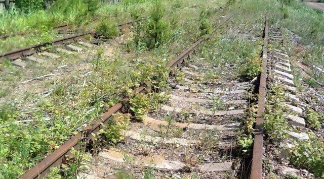 производственные, складские р-н Ломоносовский Лебяженское городское поселение, Лебяжье городской поселок фото 4