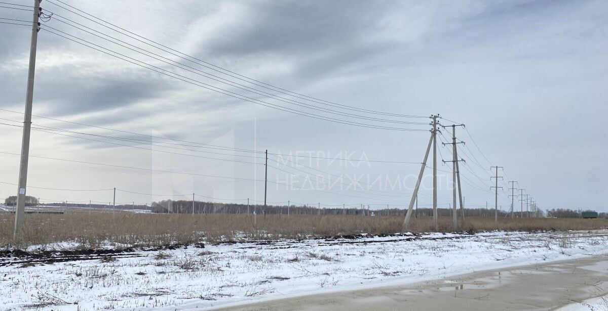 земля р-н Тюменский рп Винзили фото 3