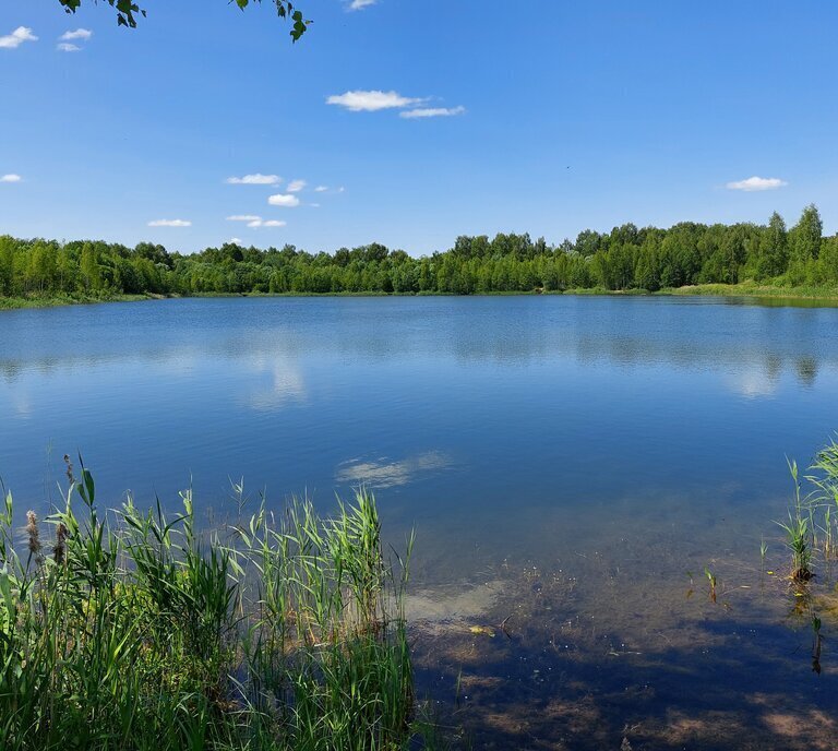 земля городской округ Талдомский д Дьяконово фото 4