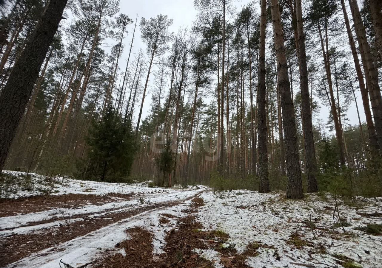 земля р-н Красносельский д Кузьмино Шолоховское сельское поселение, Красное-на-Волге фото 20