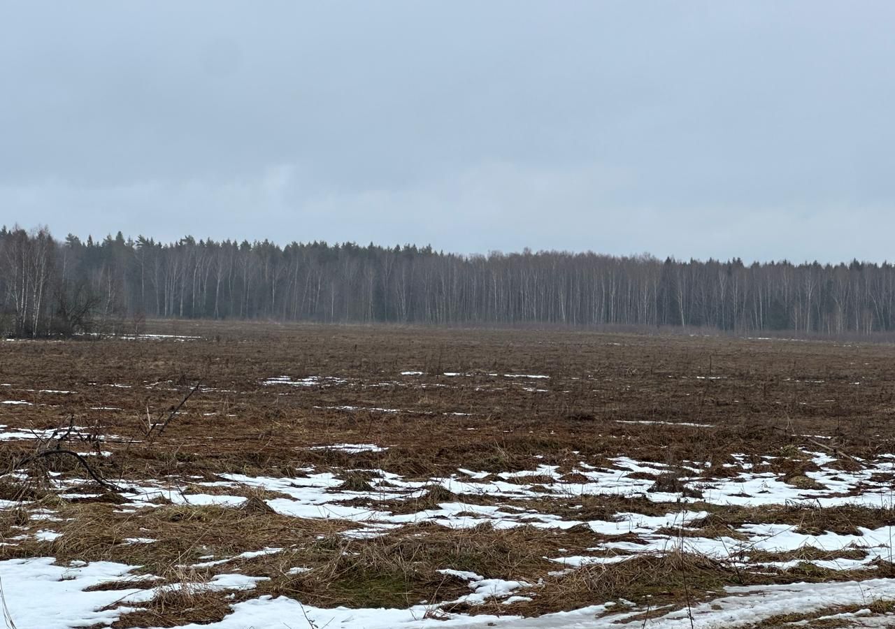 дом городской округ Можайский д Бели 95 км, 4, Можайск, Минское шоссе фото 7