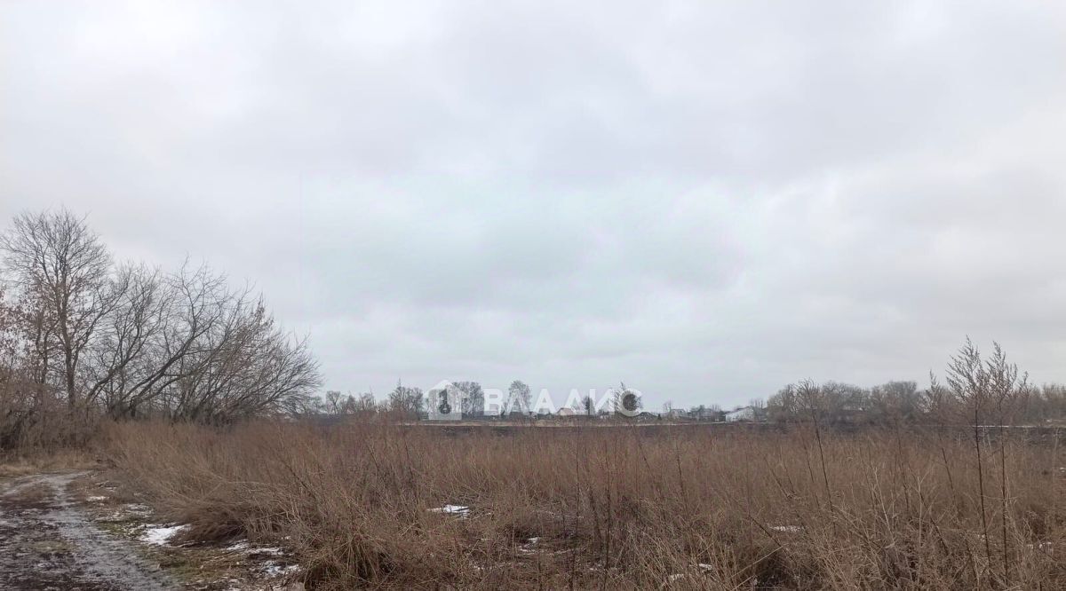 земля р-н Рыбновский с Ходынино ул Краснопрудная Ходынинское с/пос фото 5