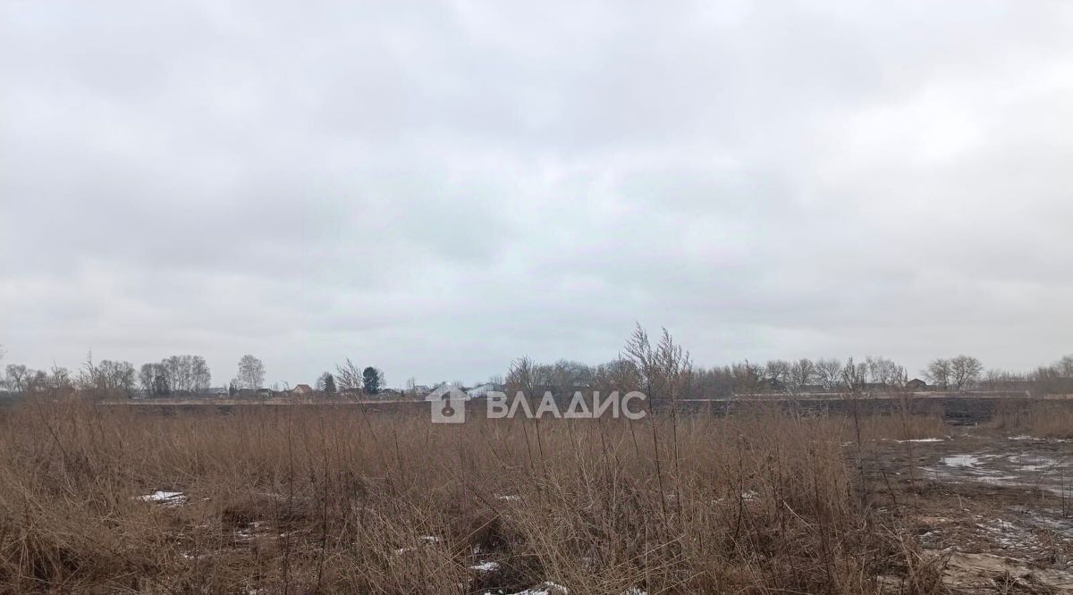 земля р-н Рыбновский с Ходынино ул Краснопрудная Ходынинское с/пос фото 6