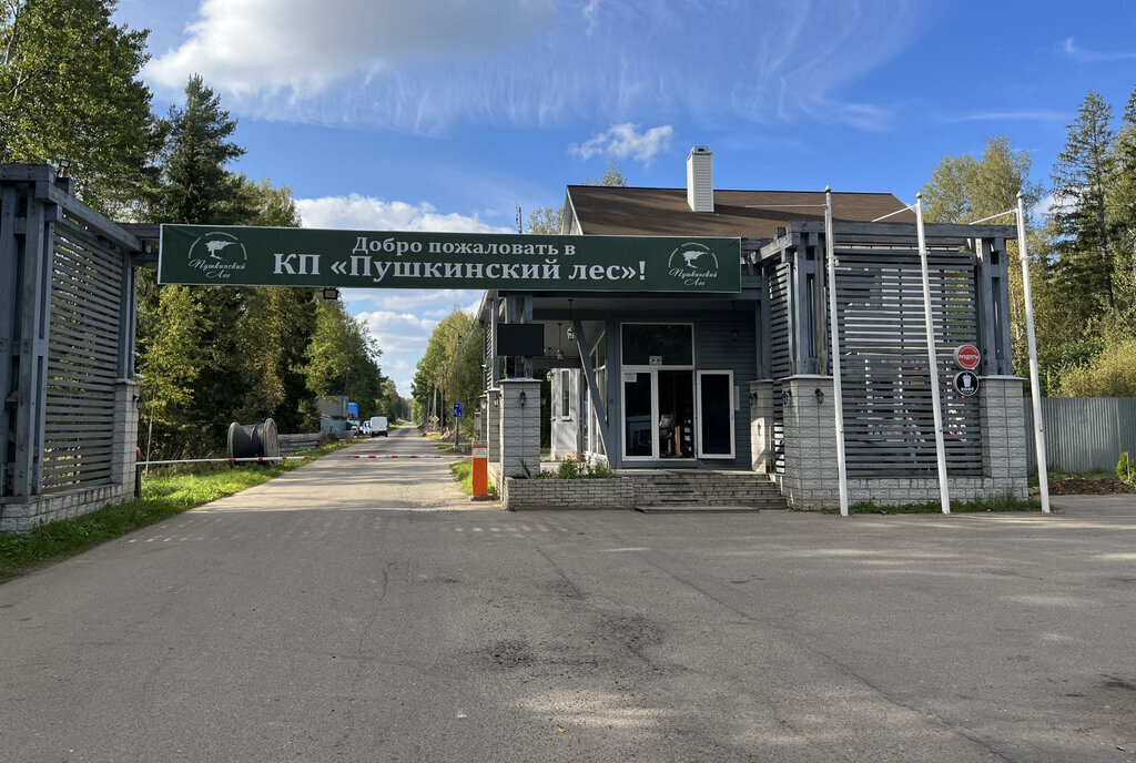 земля городской округ Пушкинский д Могильцы р-н мкр Пушкинский лес фото 1