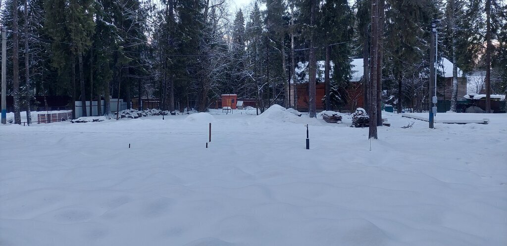 земля городской округ Сергиево-Посадский с Абрамцево ул Александрова 3 фото 2