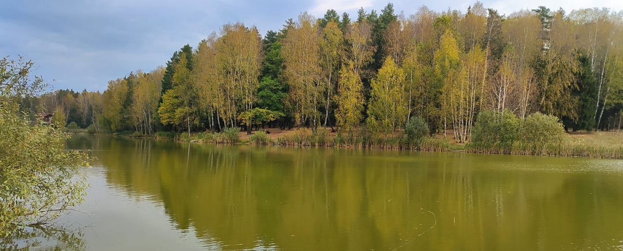 земля городской округ Чехов д Ходаево 44 км, Чехов, Симферопольское шоссе фото 1