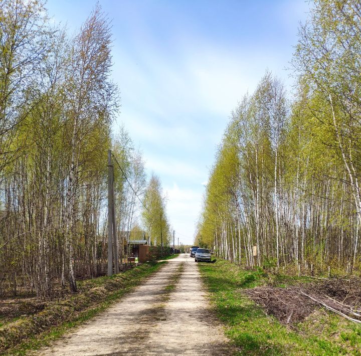 земля р-н Ясногорский с Кузьмищево днп тер.Алино фото 6