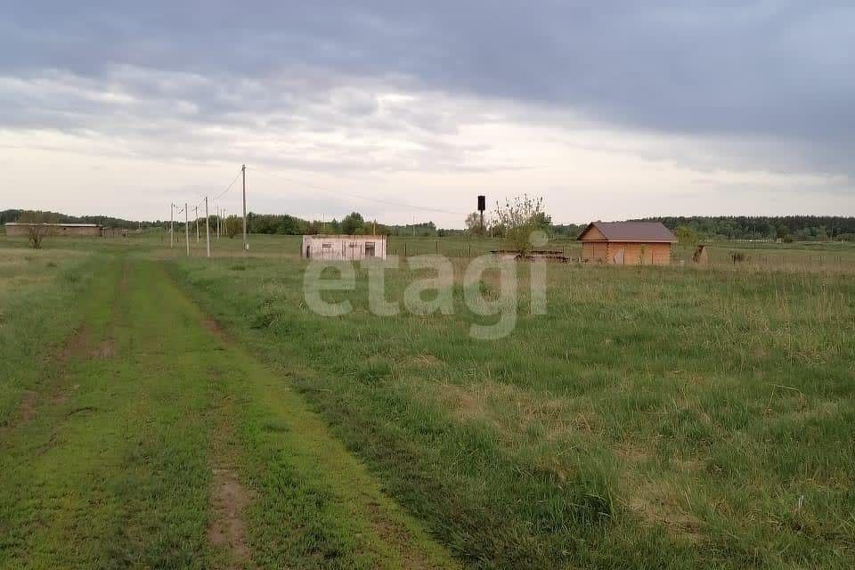 земля р-н Первомайский с. Баюновские Ключи фото 1