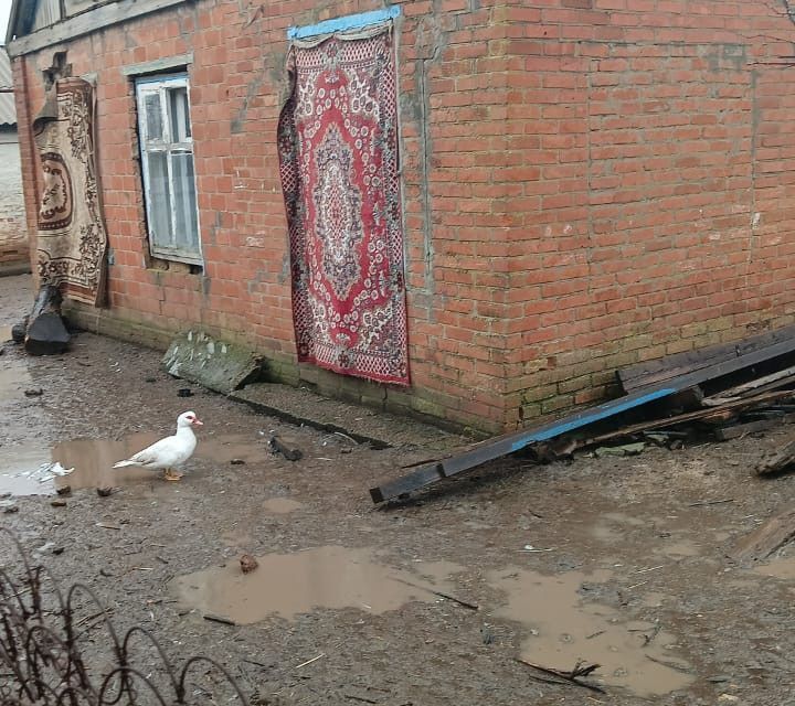 дом р-н Городовиковский село Весёлое фото 1