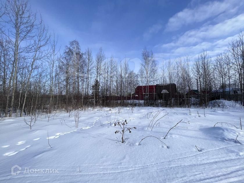 земля р-н Нижнетавдинский ДНТ Сочинские фото 3