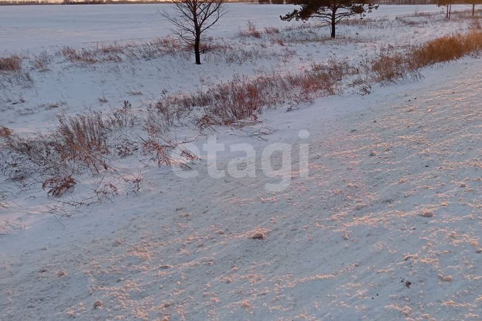 земля р-н Первомайский п Новый Александрова Слобода м-н фото 2