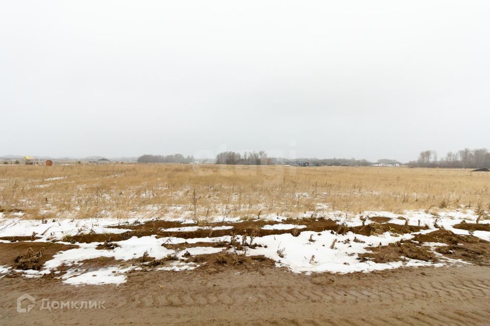 земля р-н Тюменский ДПК Новокаменский, Коттеджный посёлок Новокаменский фото 6