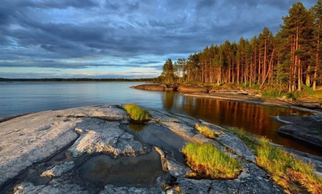 земля р-н Лахденпохский Куркиёкское сельское поселение, Ленинградская область, Кузнечное фото 1