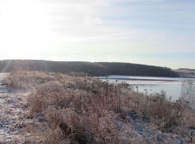 д Подмалинки Коломна городской округ фото