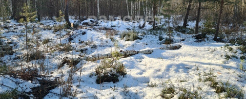 земля городской округ Богородский с Кудиново Железнодорожная фото 9