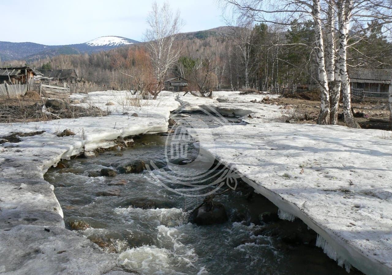 земля р-н Чарышский с Майорка Чарышское фото 1