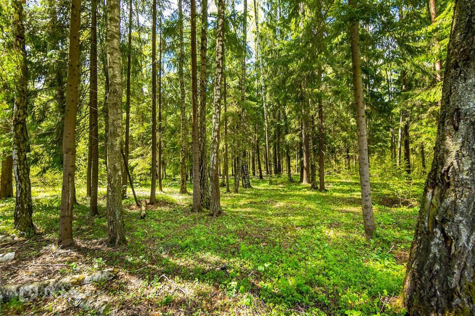 земля городской округ Истра квартал 0050341 фото 1