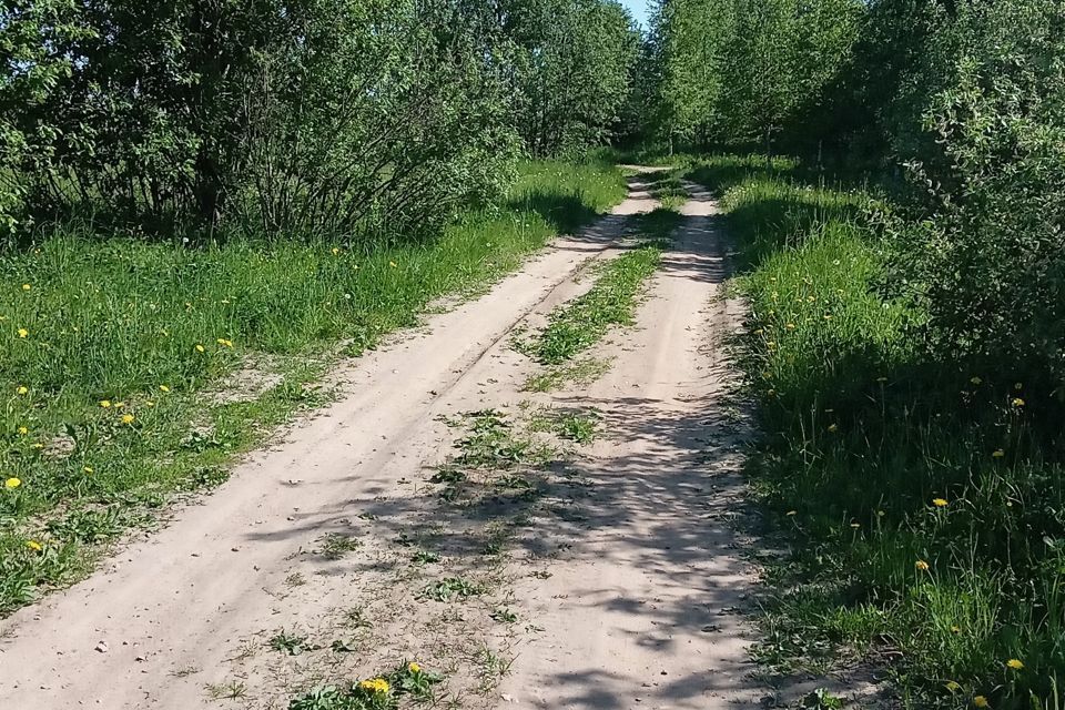 земля городской округ Дмитровский село Ильино фото 10