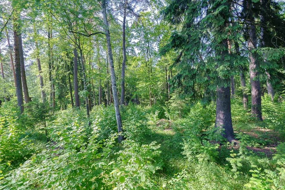 земля городской округ Одинцовский деревня Жуковка фото 6