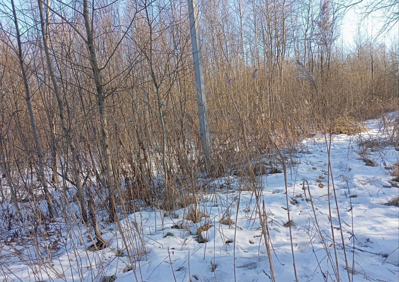 земля городской округ Богородский п Воровского 30 км, СНТ Семья, Носовихинское шоссе фото 1