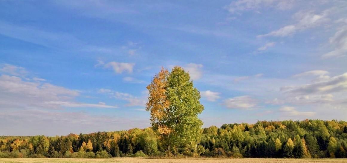 земля городской округ Истра д Первомайское ул. Пушкина фото 3