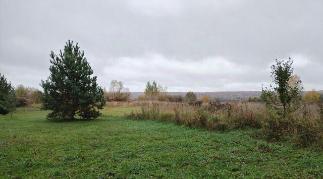 Коломна городской округ фото