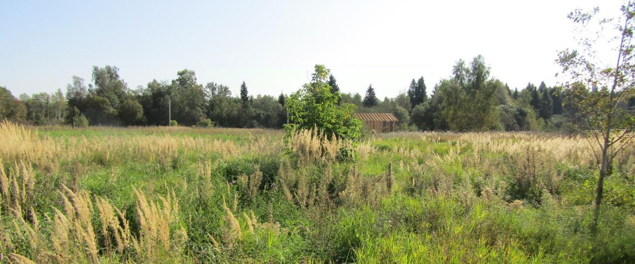 офис городской округ Рузский п Старо ул Полевая фото 1