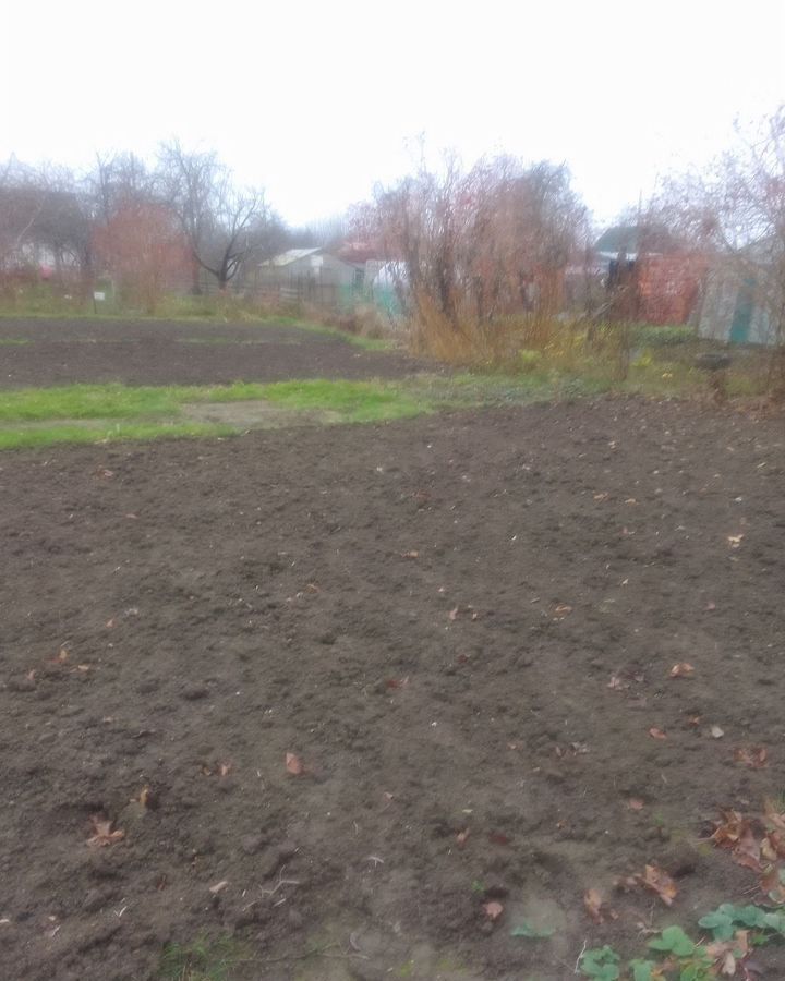 земля р-н Гурьевский п Голубево снт Голубево Калининград фото 2