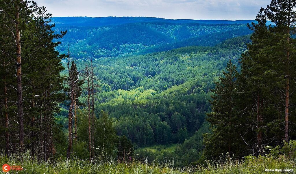 квартира р-н Хвалынский п Алексеевка ул Заводская 9 фото 5